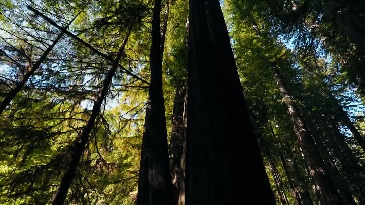 ⁣Britains Countryside Killers S01E09 1080p WEB H264-SKYFiRE