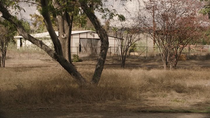 ⁣9-1-1 Lone Star S04E06 This is Not a Drill 1080p DSNP WEB-DL DD 5 1 H 264-playWEB