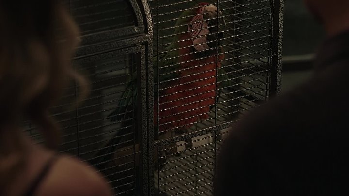 9-1-1 Lone Star S03E09 The Bird 720p DSNP WEB-DL DD 5 1 H 264-playWEB