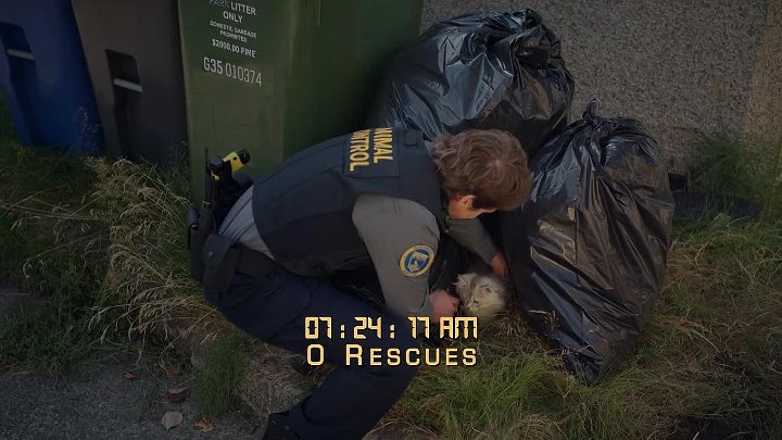 ⁣Animal Control S04E06 720p x264-FENiX