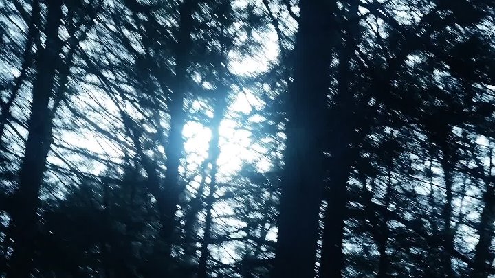 Trust No 1 (2019) 1080p BluRay-LAMA