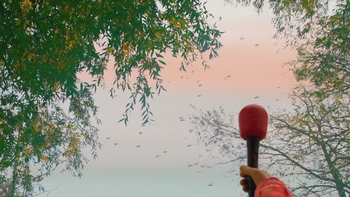 ⁣The Sound Collector S01E41 1080p WEB H264-SKYFiRE