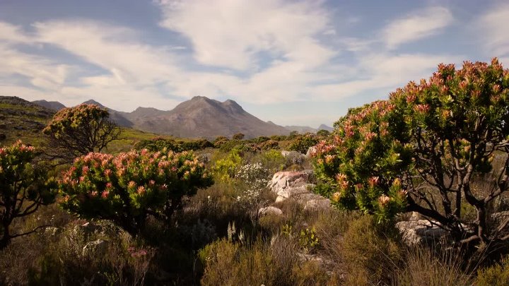 ⁣The Dinosaurs S01E03 720p HEVC x265-MeGusta