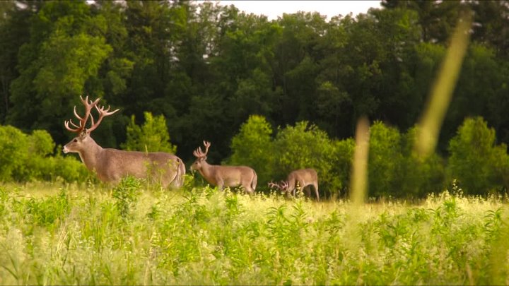 ⁣Cold Storage (2026) 1080p WEBRip 5 1-LAMA