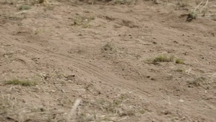 ⁣Dark Winds S04E03 Ahaaldlaadigii That Which Has Been Torn Apart 720p HEVC x265-MeGusta