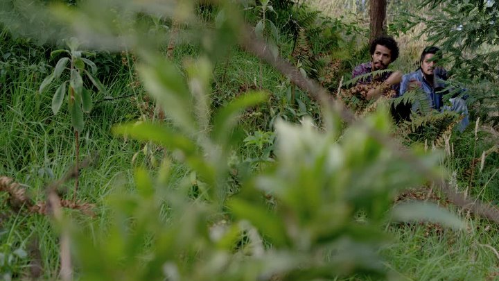 ⁣Narcos (2015) S01-S03 (1080p BluRay x265 10bit EAC3 5 1 Celdra)