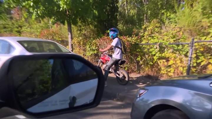 ⁣Cops S37E36 720p HEVC x265-MeGusta