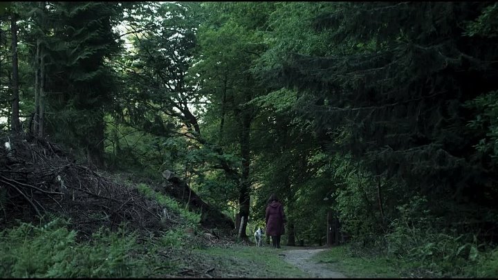 ⁣Gone 2026 S01E01 720p AMZN WEB-DL DDP2 0 H 264-RAWR