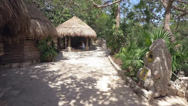 ⁣All Man The International Male Story 2022 1080P WEB H264-GRASHOPR