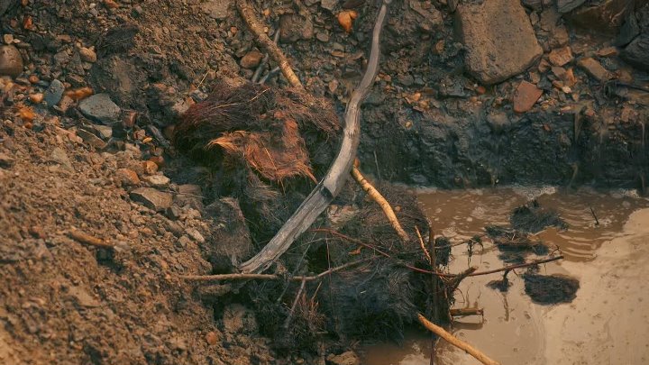 ⁣Gold Rush S16E02 1080p AMZN WEB-DL DD+ 2 0 H 264-NTb