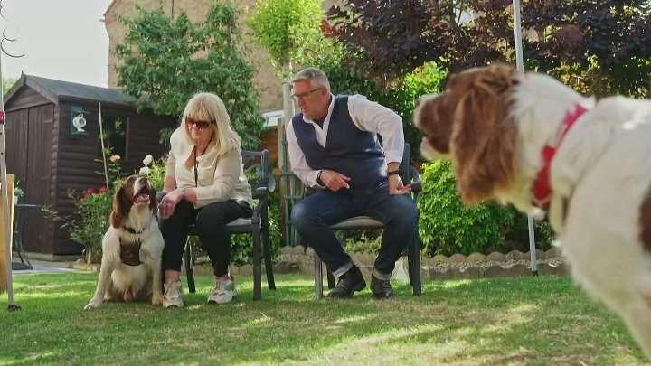 ⁣Dogs Behaving Very Badly S08E06 1080p WEB H264-CBFM