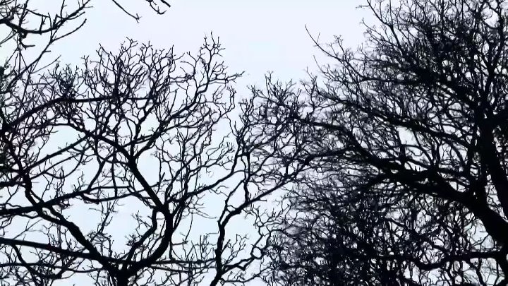 ⁣Britains Worst Weather Disasters S01E02 1080p WEB H264-CBFM