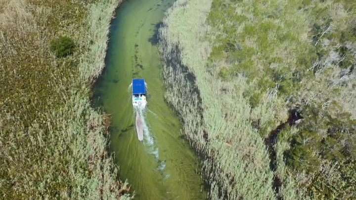 ⁣Hippo Watch With Steve Backshall S01E02 1080p WEB H264-CBFM