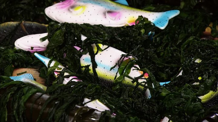 ⁣Cutthroat Kitchen S11E22 Duck LOrange is the New Black Coffee 1080p AMZN WEB-DL DDP2 0 H 264-NTb