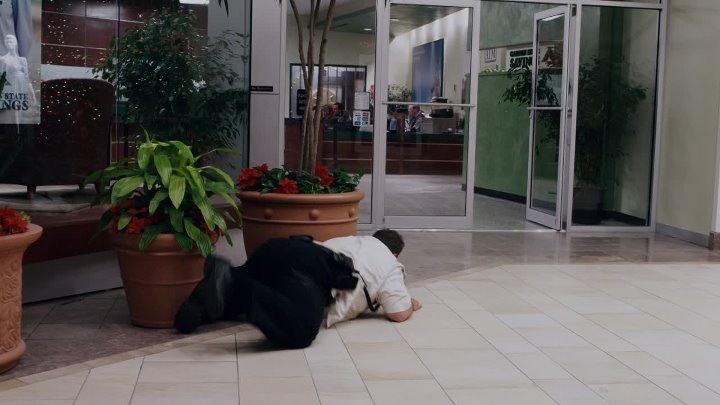 ⁣Paul Blart Mall Cop 1 & 2 1080p BluRay x265 5 1-RBG