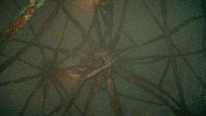 ⁣Cold Storage 2026 2160p AMZN WEB DL DDP5 1 H 265 BYNDR SDR 4k UHD [GoodFilms]