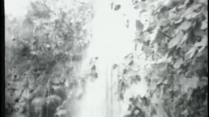 ⁣Zorro Kamçılı Süvari-Zorronun İntikamı 1 Bölüm (1969) 360p WEBRİp x264 -TR -