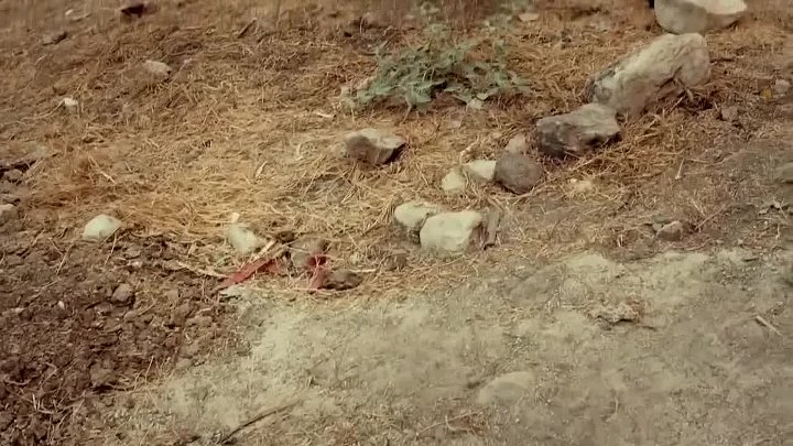 Ne mozes bezati od ljubavi 08