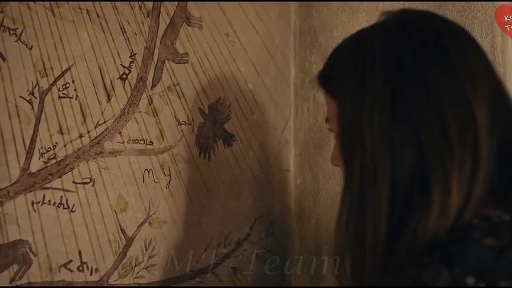 Dar 3 sezona, 7 epizoda