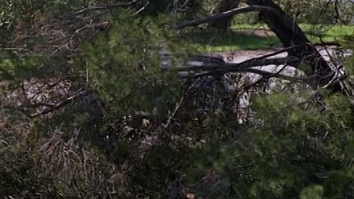 ⁣The Pretender S04E18 Corn Man A Comin'