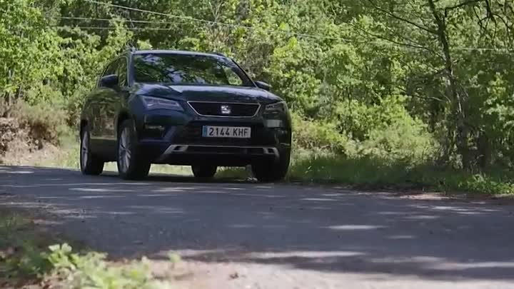 Ukus belih rada-MF Team Sezona 1 Epizoda 05