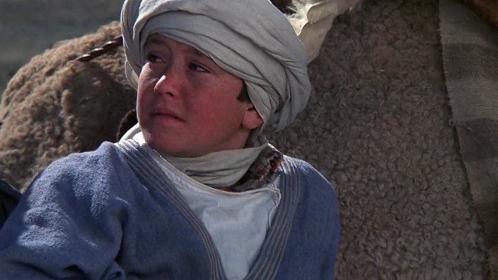 ⁣The Black Stallion Returns (1983) (720p)🌻 Animation & Family Movies