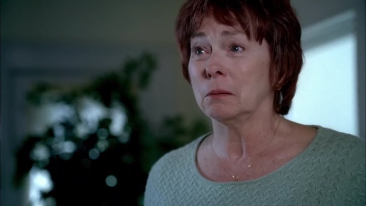 ⁣Cold Case (2006) [S4E08] Fireflies