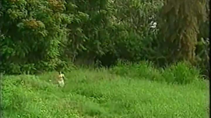 ⁣Luz Maria 1 Epizoda