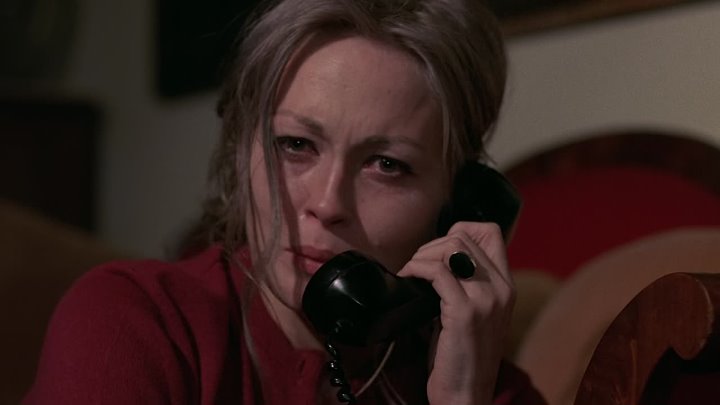 ⁣Puzzle Of A Downfall Child (1970) (1080p)🌻 70's Movies