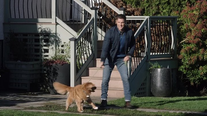 ⁣Walking The Dog (2017) (720p)🌻 Hallmark Movies