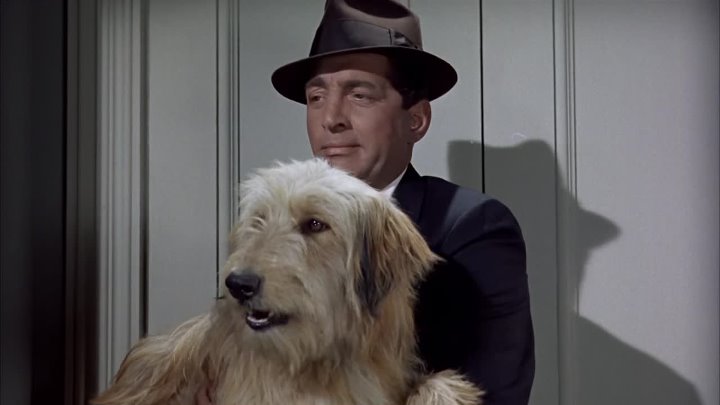 ⁣All In A Nights Work (1961) (1080p) +subtitle🌻 Classic & Older Hollywood Films