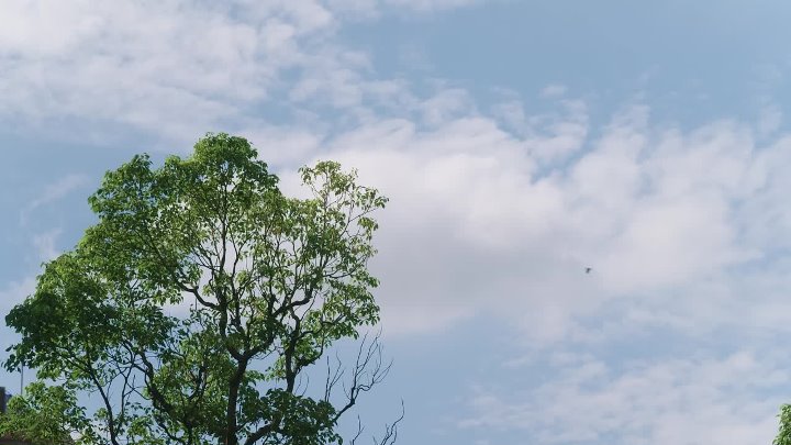 ⁣Love is Blind Japan S01E08