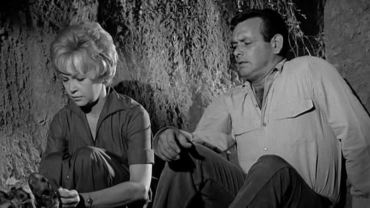 ⁣The Fugitive [S03E15] When The Wind Blows