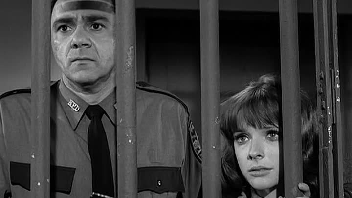 ⁣The Fugitive [S03E28] A Taste Of Tomorrow