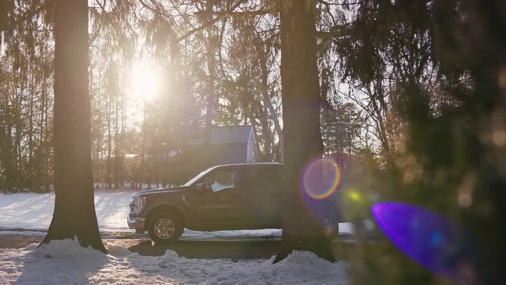 ⁣Christmas On The Alpaca Farm 2023