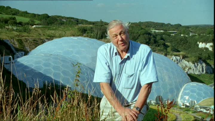 ⁣The Life of Mammals (2002) - S01E10 - Food for Thought (576p)