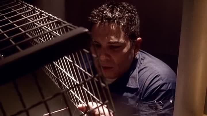 ⁣JAG S05E14 Cabin Pressure