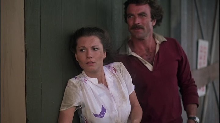 ⁣Magnum P I [S01E08] The Ugliest Dog in Hawaii