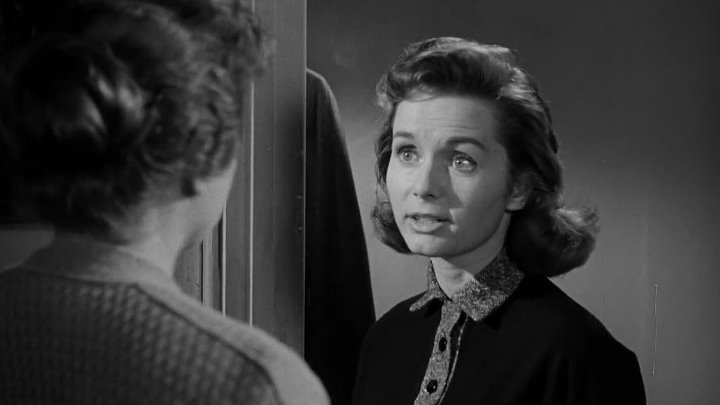 ⁣The Catered Affair (1956) (720p) 🌻 Movies