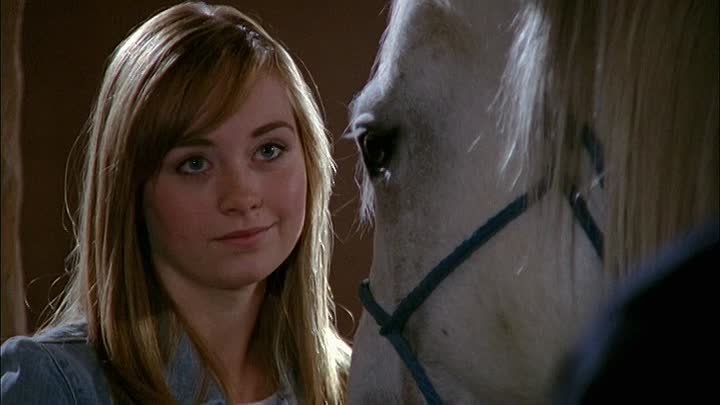 ⁣Heartland [S02E11] After the Storm