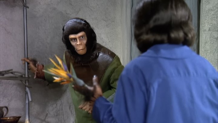 ⁣Planet of the Apes E07 - The Surgeon