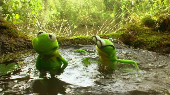 ⁣Kermits Swamp Years (2002) (1080p)🌻 Animation & Family Movies
