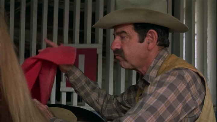 ⁣Caseys Shadow (1978) (1080p)🌻 Movies