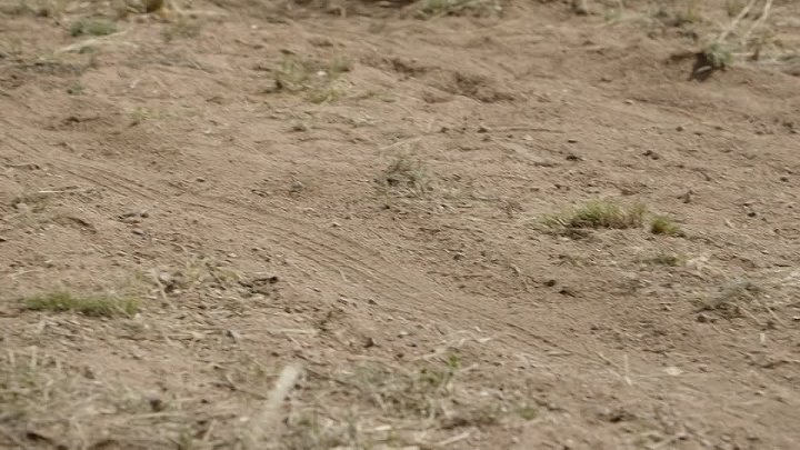 ⁣Dark Winds S04E03 Ahaaldlaadigii That Which Has Been Torn Apart 720p AMZN WEB-DL DDP5 1 H 264-RAWR