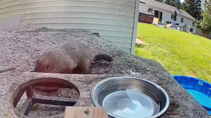 Neighborhood Watch 2026 S01E10 1080p WEB h264-EDITH[EZTVx to] mkv