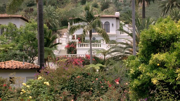 ⁣Beverly Hills Cop 1984 1080p PCOK WEB-DL DDP 5 1 H 264-PiRaTeS