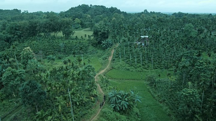 ⁣The Family Man 2019 S03E07 Endgame 1080p AMZN WEB-DL DD 5 1 H 264-playWEB