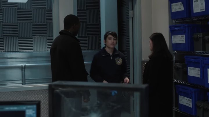 ⁣Law and Order S25E14 1080p x265-ELiTE