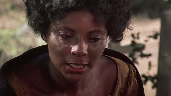 ⁣Roots (1977) Part VI