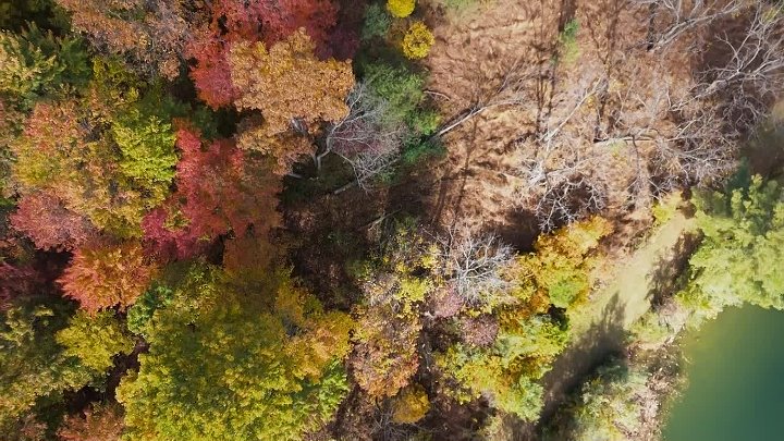 ⁣True Crime Story It Couldnt Happen Here S03E02 State College Pennsylvania 720p AMZN WEB H 264-NGP